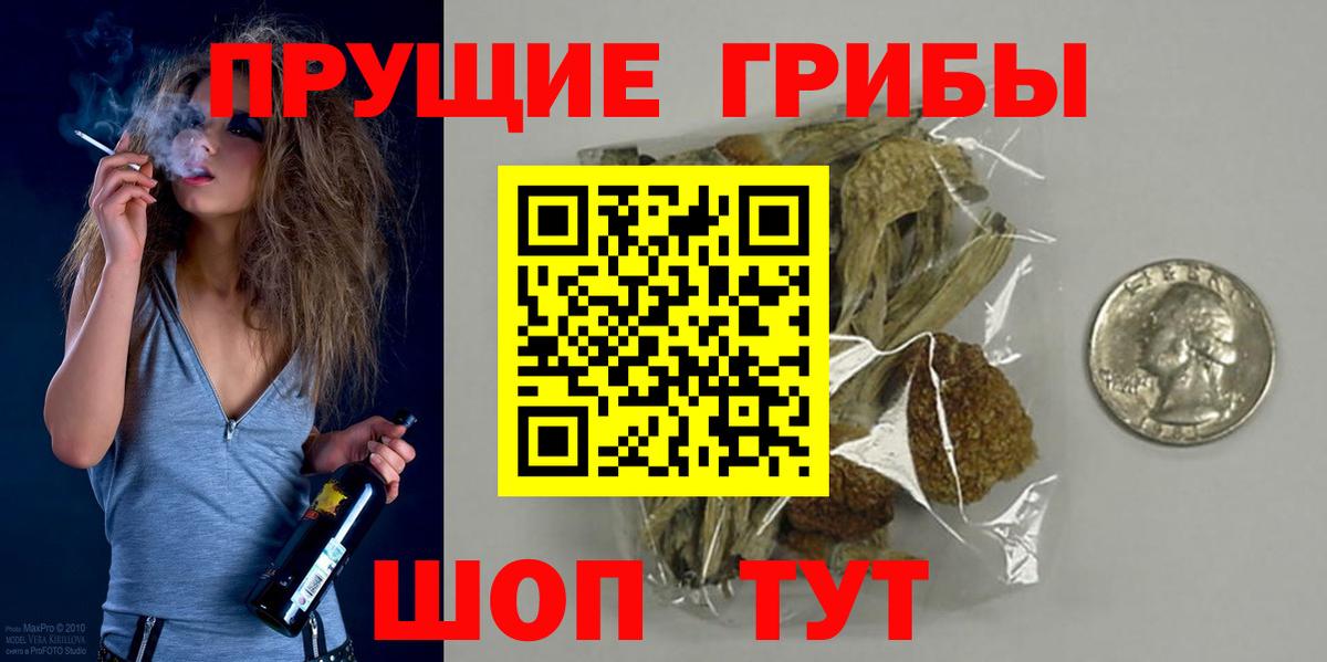 Галлюциногенные грибы Psilocybine cubensis Нарткала